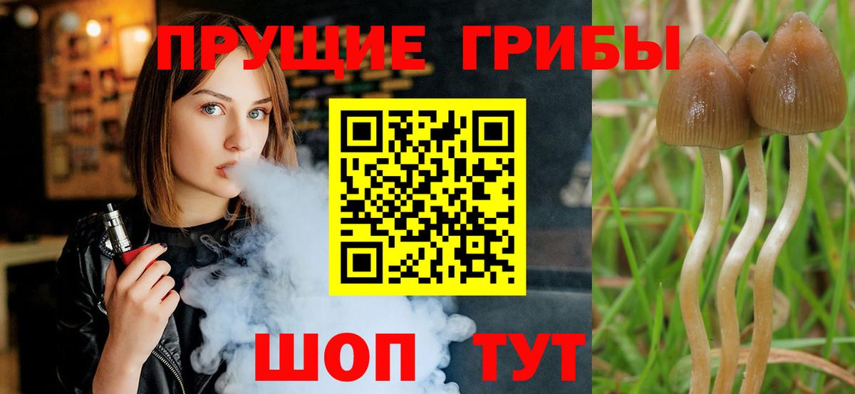 Крымск  Псилоцибиновые грибы MAGIC MUSHROOMS  Вход с VPN 