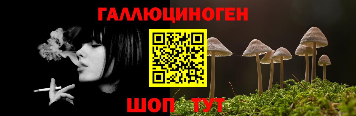 Псилоцибиновые грибы мухоморы Крымск